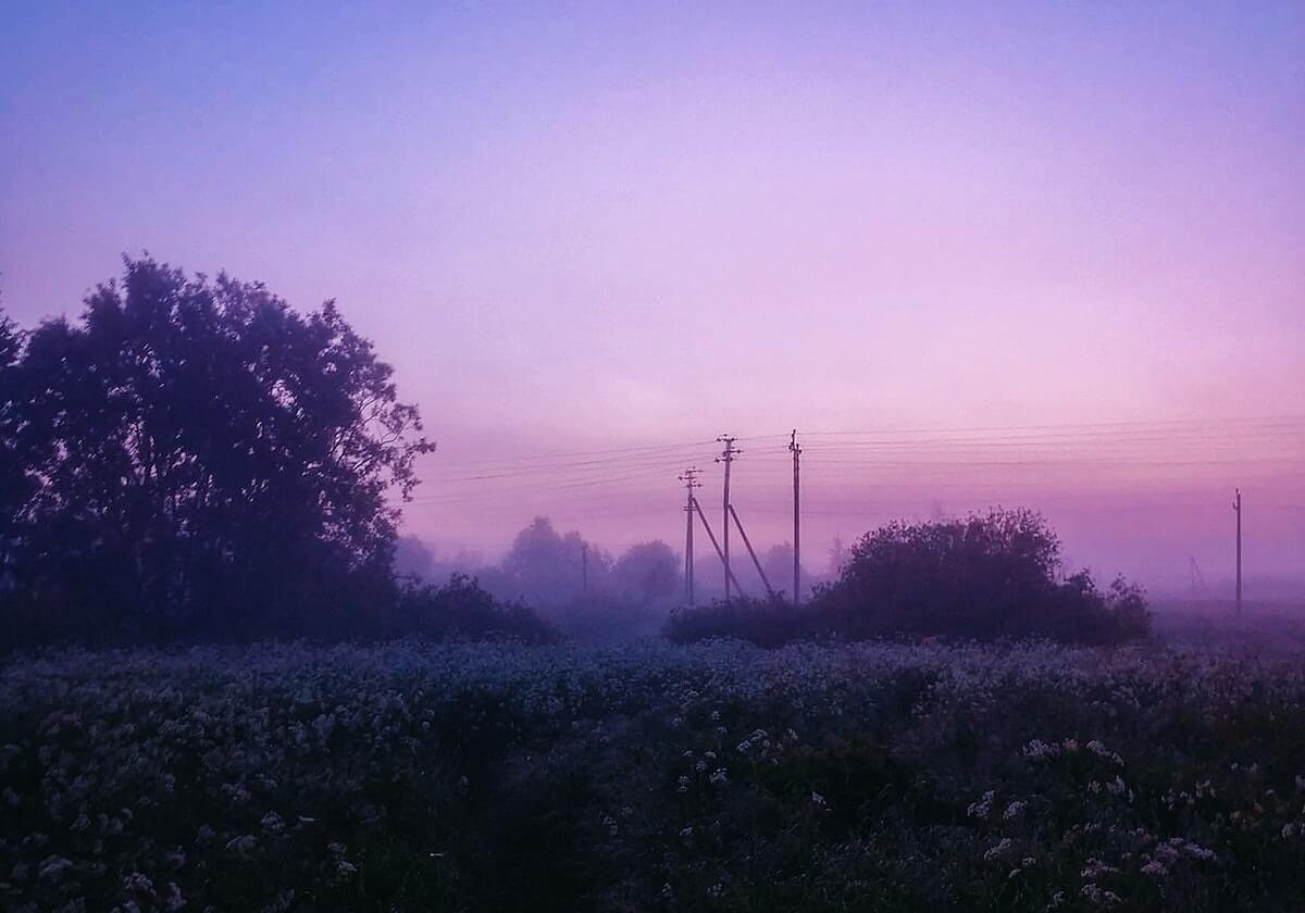 孙颖莎连续165周霸榜世排第一